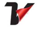 ProVinyl Solutions Logo