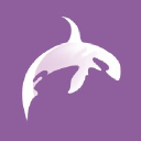 Purple Orca Logo