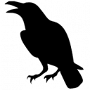 Raven Media, LLC Logo