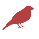 Redbird-Marketing Logo