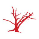 Red Branch Media Logo