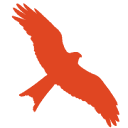 Red Kite Code Logo