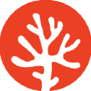 Reefine Marketing & Graphics Logo