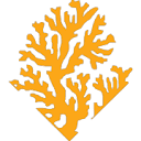 Reef Print Logo