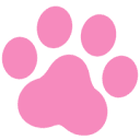 Review Dingo Logo