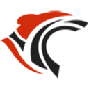 Roar Solutions Logo