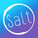 Salt - The Digital Marketing Agency Logo