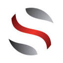 Search Engine Performance Logo