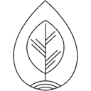 Seedling Digital Logo