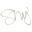 Signature Web Designer Logo