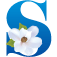 Southern Style Media Logo