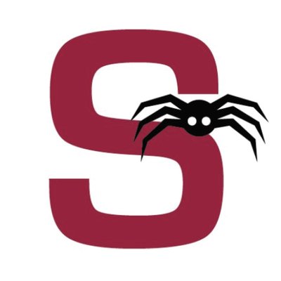 Spider Marketing Group Logo