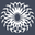 SpiderWeb Design logo