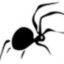 Spiderweb Computers Logo
