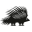 Spike logo