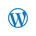SpinningSilk Multimedia logo