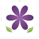 Spring Insight Logo