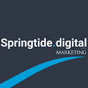 Springtide.Digital Logo