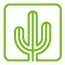 Square Cactus Logo