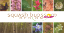 Squash Blossom Design Logo