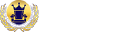 STN Promotions Logo
