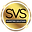 SVS Marketing Solutions Logo