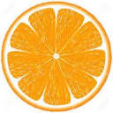 Tangerine Web Works Logo