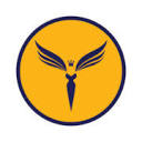 The Aviation Agency Logo