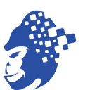 The Digital Gorilla Logo