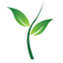 The Media Stem Logo