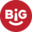 Think Big Design Group LLC Logo