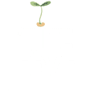 Tite Feve Logo