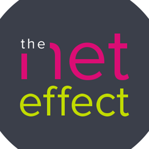 The Net Effect Website Design Logo