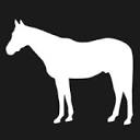 Today's Horse Magazine Logo