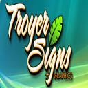 Troyer Signs Inc Logo