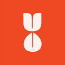 Tulip City Creative Logo
