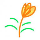 Tulip Tree Creative Logo
