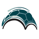 Turtlehut Internet Marketing Logo