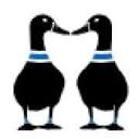 Two Lucky Ducks - Website Development Logo