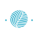 Two Shoes Creative Logo