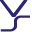 Vandesyn Software & Web Logo