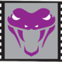 Video Viper  Logo