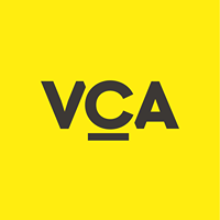View Creative Agency Logo