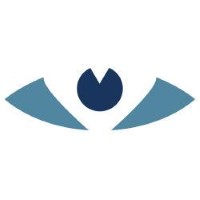 Vision Design Group Logo