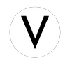 Vision Studios Logo