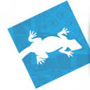 Cameleon logo