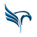 WebEagles Pty Ltd Logo