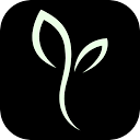 Web Sprouting Logo