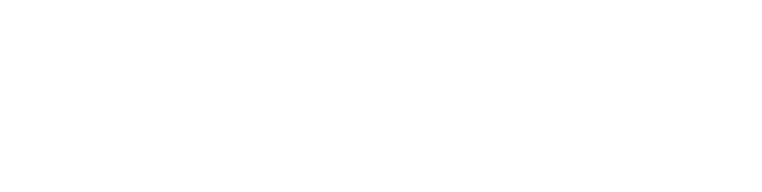 White Fox Studios Tampa Web Design Logo
