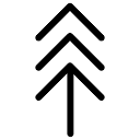 White Pine Logo